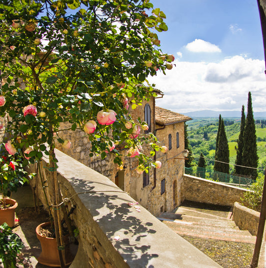 Under the Tuscan Sun: A Gourmand’s Guide to the Region